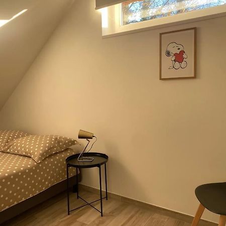 Appartement Dans Une Grange Renovee Estrasburgo Exterior foto